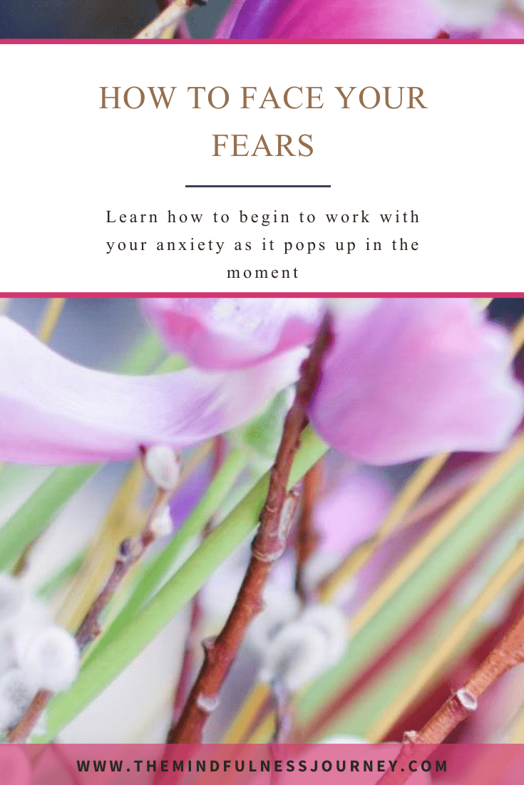 How to Face Your Fears | The Mindfulness Journey | Meditation
